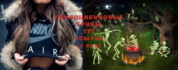 spice Нягань