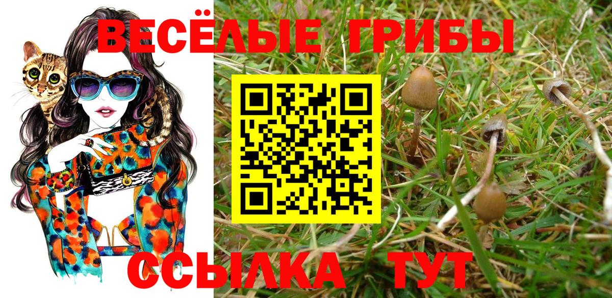 Галлюциногенные грибы мицелий  Вход с VPN  Ржев  купить  сайты  Галлюциногенные грибы Magic Shrooms 